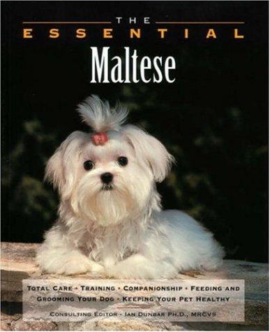 Cover for The Essential Maltese (Howell Book House's Essential)