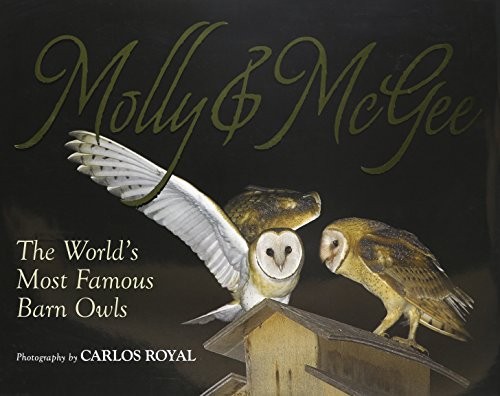 Cover for Molly & McGee