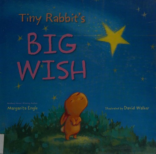 Cover for Tiny rabbit's big wish