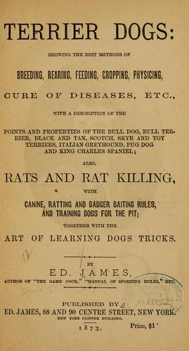 Cover for Terrier dogs: showing the best methods of breedings, rearing, feeding, cropping, physicing, cure of diseases, etc. ...