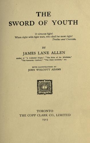 Cover for The sword of youth
