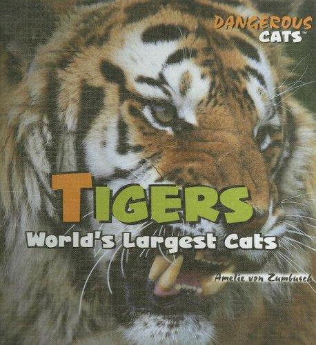 Cover for Tigers