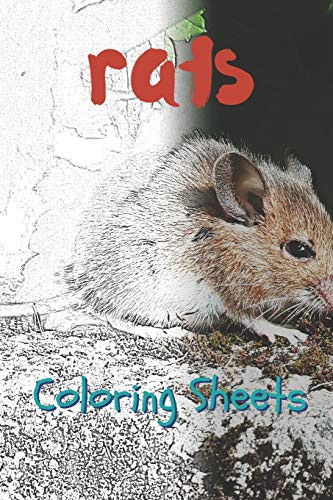Cover for Rat Coloring Sheets