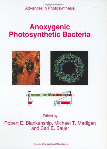 Cover for Anoxygenic photosynthetic bacteria