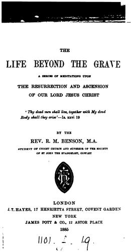 Cover for The life beyond the grave, a series of meditations