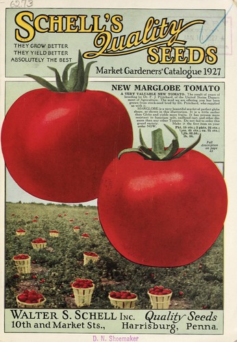 Cover for Schell's quality seeds