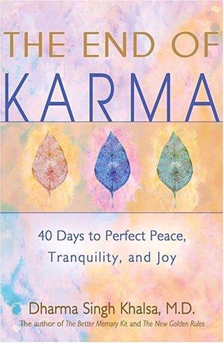 Cover for The End of Karma