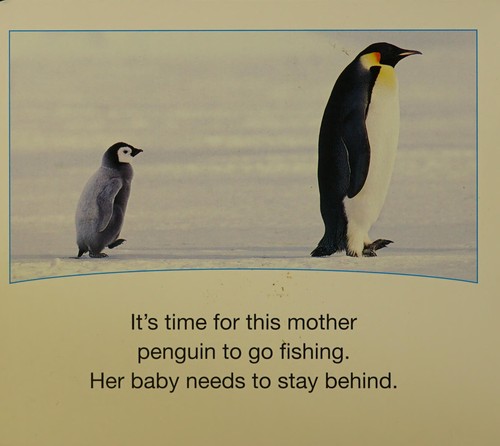Cover for Baby penguins.