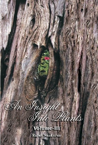 Cover for An insight into plants