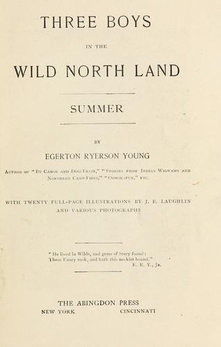 Cover for Three boys in the wild North land