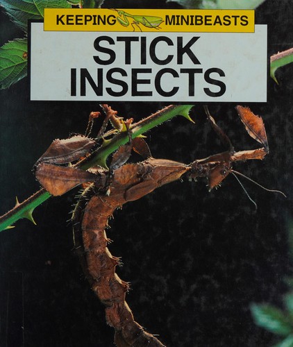 Cover for Stick Insects (Keeping Minibeasts)