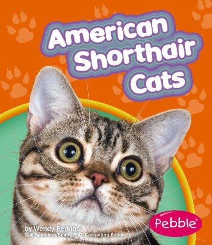 Cover for American Shorthair Cats