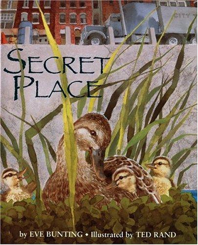 Cover for Secret place