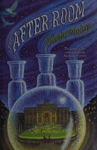 Cover for The After-Room