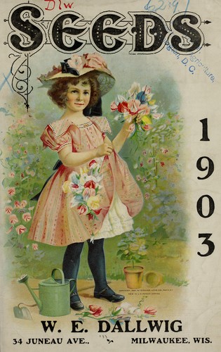Cover for Seeds