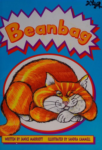 Cover for LT 2-B Tb Beanbag Is