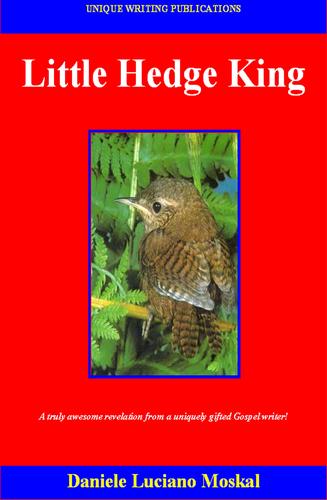 Cover for Little Hedge King