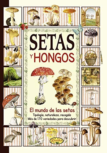 Cover for Setas y hongos