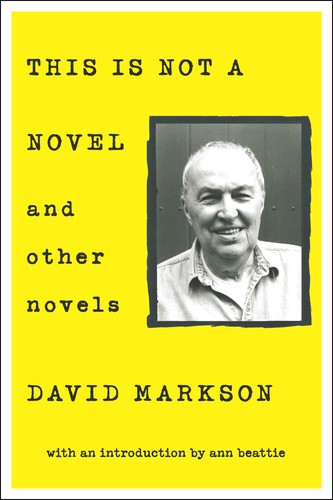 Cover for This Is Not a Novel and Other Novels