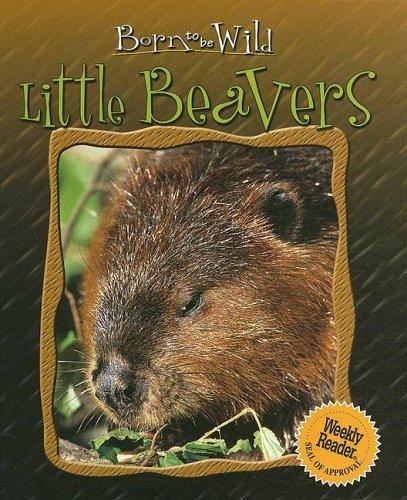 Cover for Little Beavers