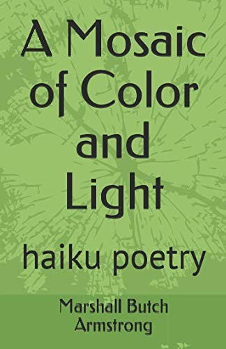 Cover for A Mosaic of Color and Light