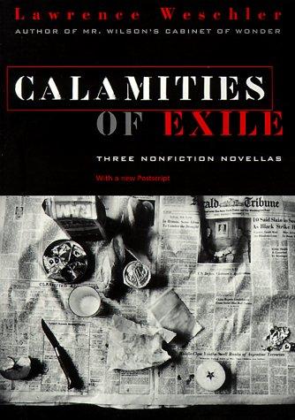 Cover for Calamities of Exile
