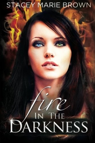 Cover for Fire In The Darkness (Darkness Series) (Volume 2)