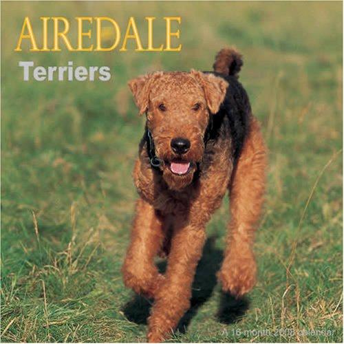 Cover for Airedale Terriers 2008 Wall Calendar