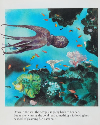 Cover for Coral trail