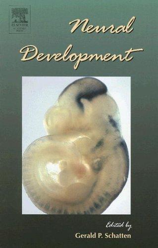 Cover for Neural Development, Volume 69 (Current Topics in Developmental Biology)