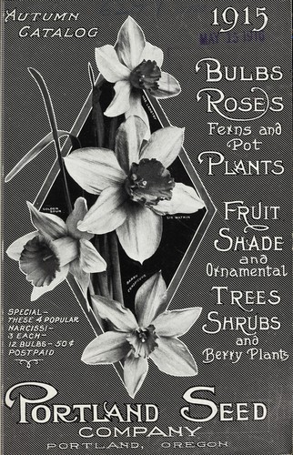 Cover for Autumn catalog [of] trees, roses, bulbs, plants