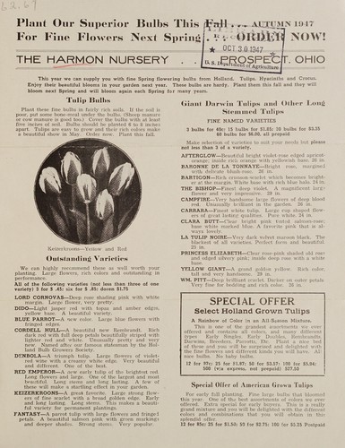 Cover for Plant our superior bulbs this fall for fine flowers next spring