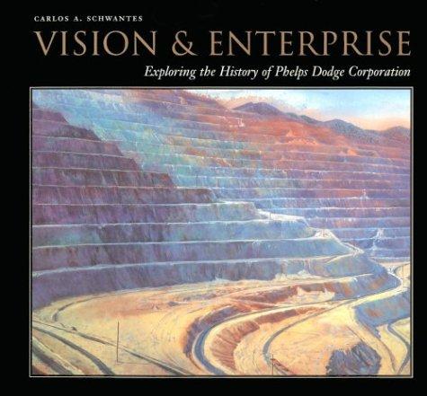 Cover for Vision & Enterprise