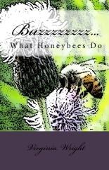 Cover for Buzzzzzzzz