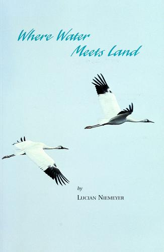 Cover for Where water meets land