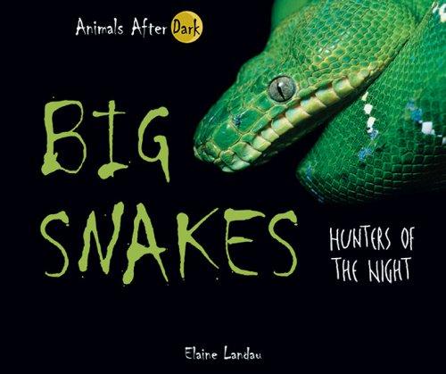 Cover for Big Snakes