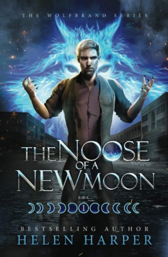 Cover for The Noose of a New Moon