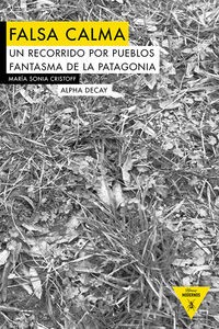 Cover for Falsa calma
