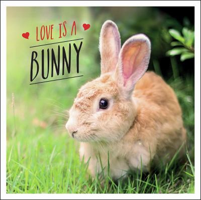 Cover for Love Is a Bunny
