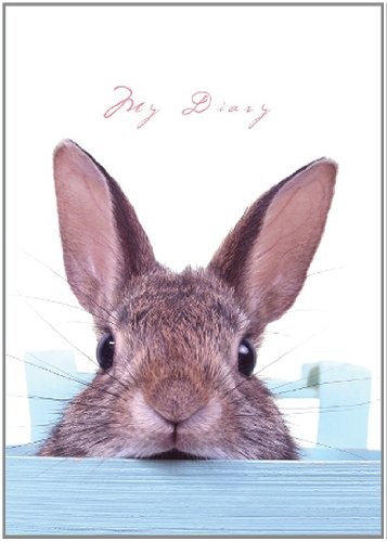 Cover for Lock-Up Diary - Sneaky Bunny