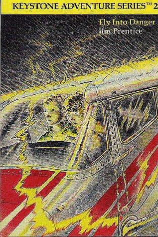 Cover for Fly into danger