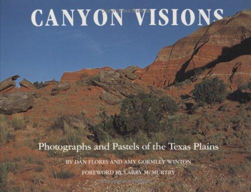 Cover for Canyon visions