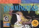 Cover for Hummingbird