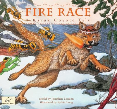 Cover for Fire Race