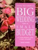 Cover for How to have a big wedding on a small budget