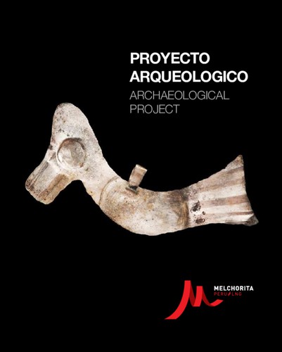 Cover for Proyecto arqueológico