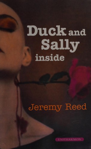 Cover for DUCK AND SALLY INSIDE.