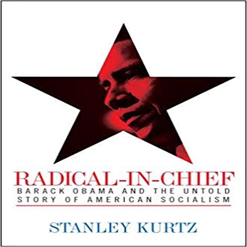Cover for Radical-in-Chief