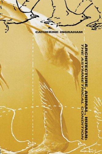 Cover for Architecture, Animal, Human 