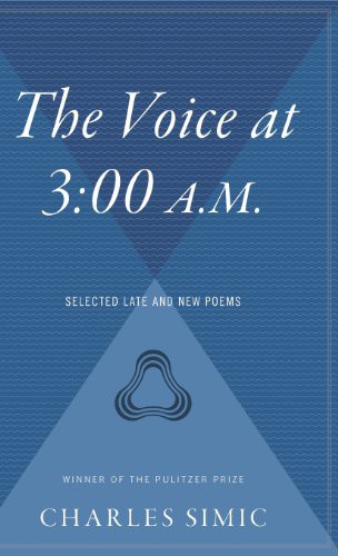 Cover for The Voice at 3 : 00 A.M.